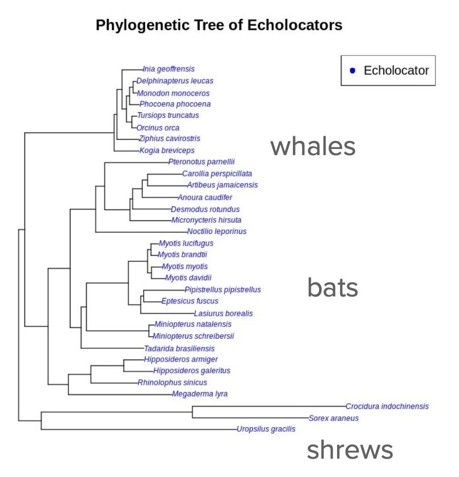 Genomics project visualization 1