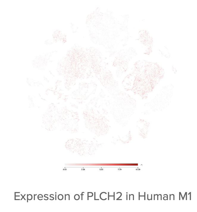 Genomics project visualization 2